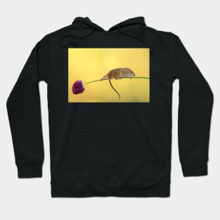 The trapese artist Hoodie